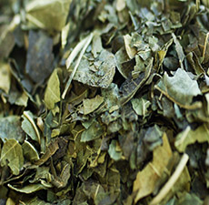 MULBERRY LEAVES CUT & SIFTED